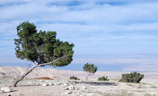 View from Mount Nebo "View from Mount Nebo, from where Moses first viewed the promised land." mount nebo jordan stock pictures, royalty-free photos & images