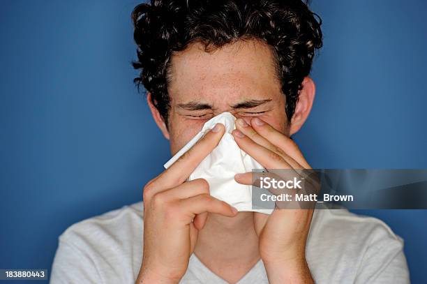 코 풀기 감기바이러스에 대한 스톡 사진 및 기타 이미지 - 감기바이러스, 감기와 독감, 건강관리와 의술