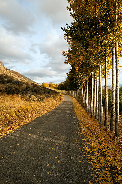 istock country road driveway okanagan valley osoyoos 183880448