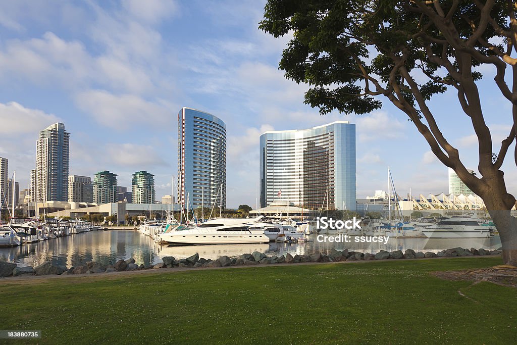 サンディエゴのマリーナと街の眺めをもつパーク - ウォーターフロントのロイヤリティフリーストックフォト