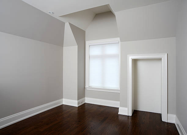 istock Brand New North American Home 183880775