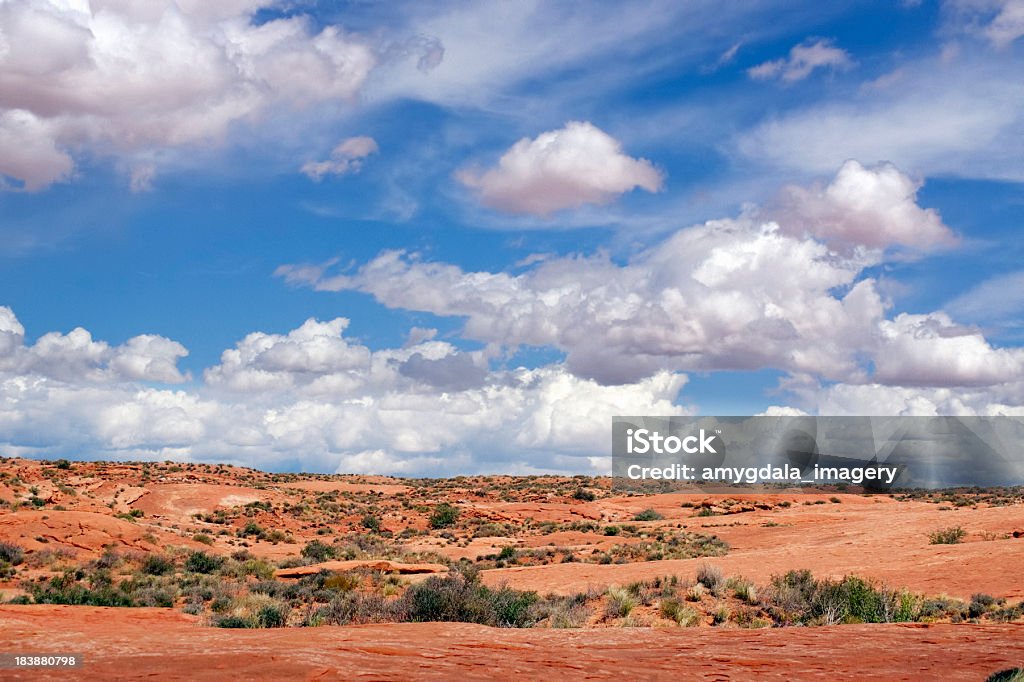 Paesaggio del deserto sud-occidentale - Foto stock royalty-free di Ambientazione esterna