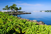 Shore along Pearl Harbor