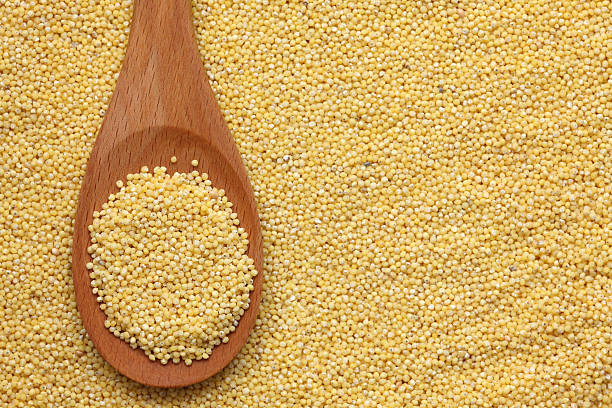 istock Millet in a wooden spoon 183881060