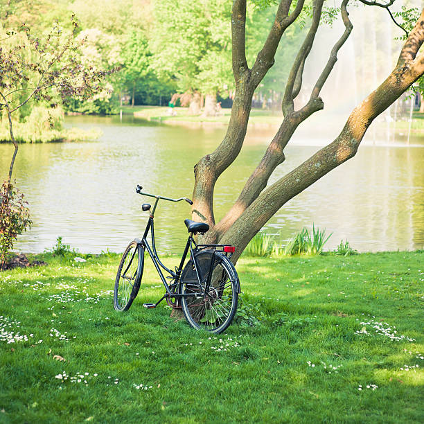 Bike wheel on background of green leaves
