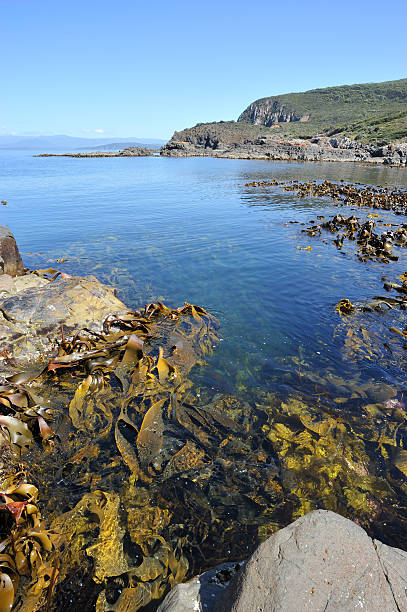 istock Bruny Island in Tasmania 183881737