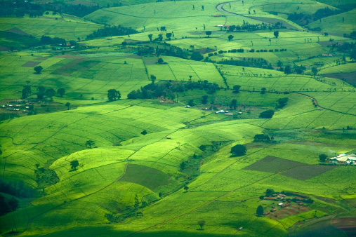 Green rolling farmland from above in the Kenyan central highlands