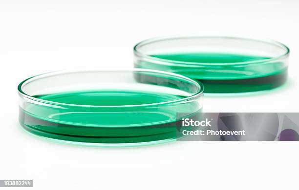 Placas De Petri - Fotografias de stock e mais imagens de Fundo Branco - Fundo Branco, Disco de Petri, Copo