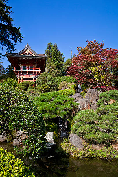 istock Japanese Tea Garden, San Francisco 183882528