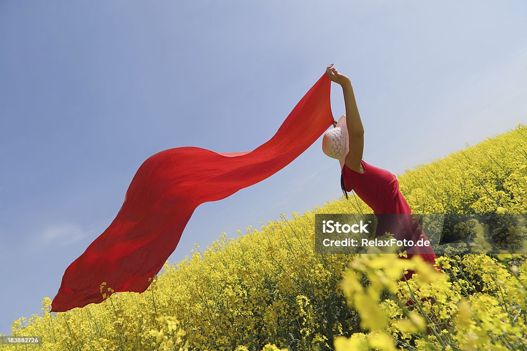 Giovane donna in un campo di colza con sciarpa rossa a vento - Foto stock royalty-free di Adulto