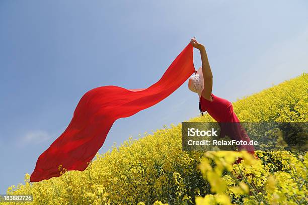 Giovane Donna In Un Campo Di Colza Con Sciarpa Rossa A Vento - Fotografie stock e altre immagini di Adulto