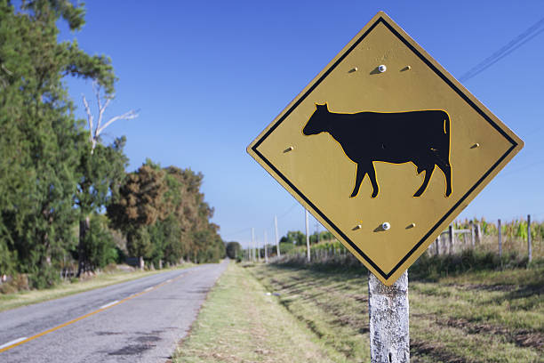 istock Sing on the road indicating livestock animals crossing 183882866