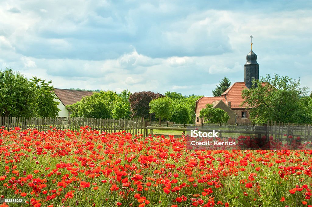 Campo di papaveri e piccolo villaggio chiesa - Foto stock royalty-free di Agricoltura