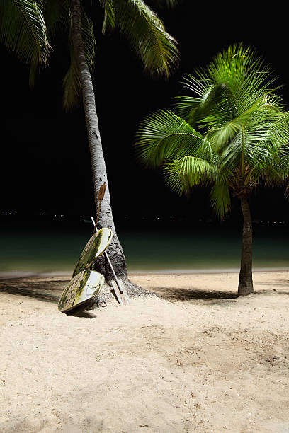 istock Pattaya beach by night 183883219