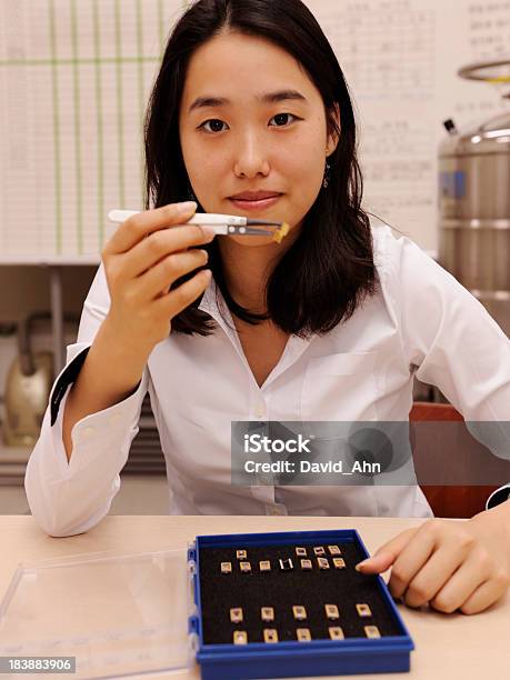 Junge Weibliche Forscher Arbeiten In Labor Stockfoto und mehr Bilder von Halbleiter - Halbleiter, Koreanischer Abstammung, Nanotechnologie