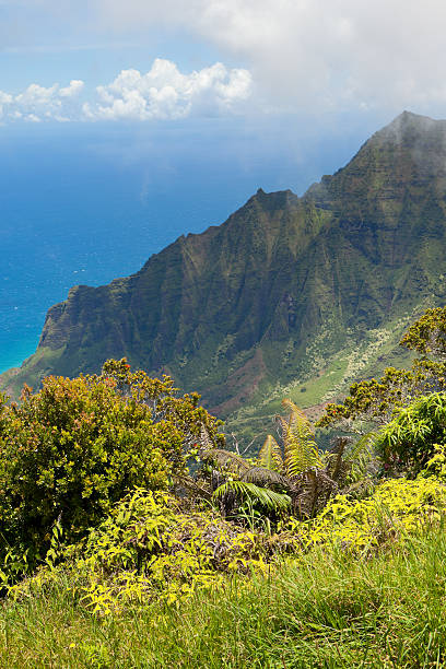istock Kalalua Lookout Kauai 183884324