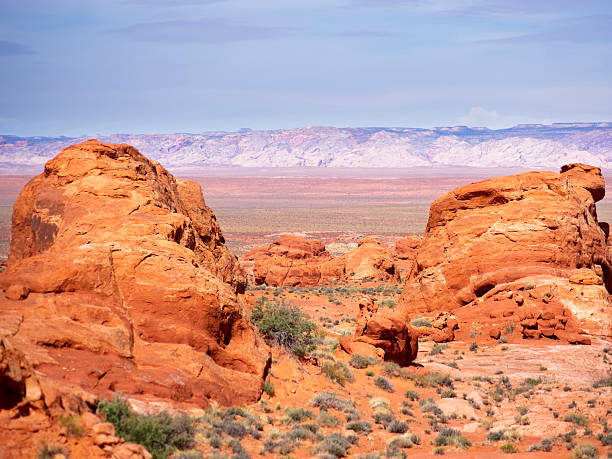 paesaggio del deserto sud-occidentale - sonoran desert desert badlands mesa foto e immagini stock
