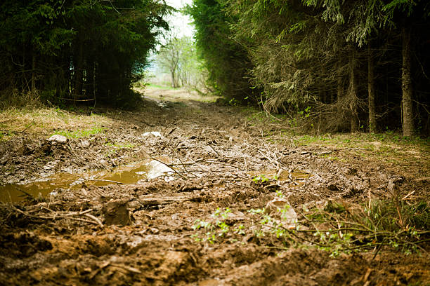 Dirty road in Russia