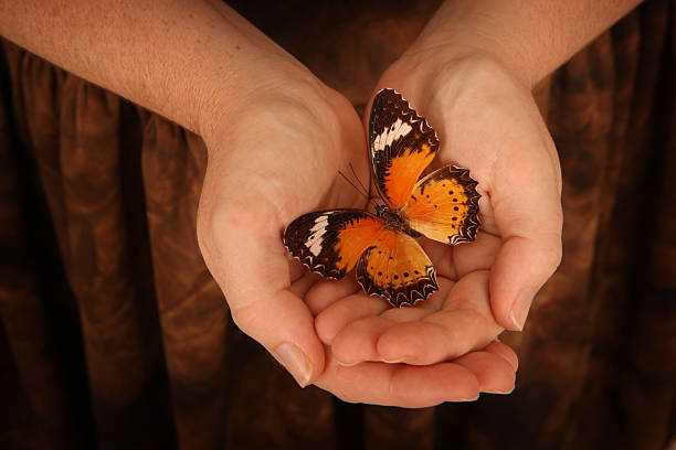 istock Beauty in Nature 183885638