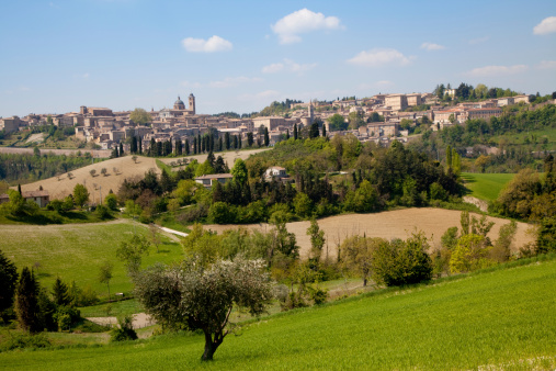 view over the rolling hills of the Marches towards Urbino