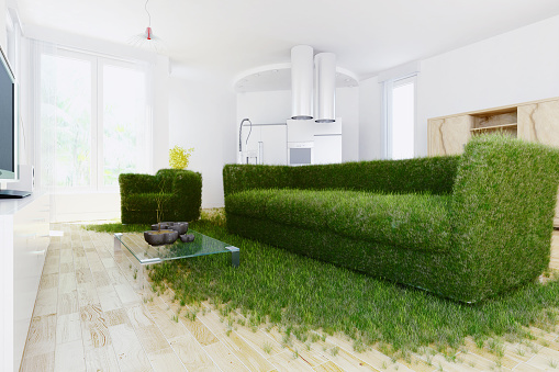 Green living concept, grass over living room items(walls, cabinets, windows, floor, couch etc.) high detail 3d render(high key)http://i290.photobucket.com/albums/ll267/IvanWuPI/newlbx/Livingroom1.jpg