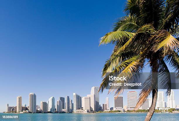 El Centro De La Ciudad De Miami En Los Estados Unidos Foto de stock y más banco de imágenes de Miami