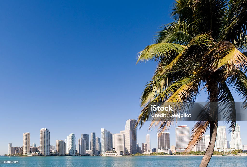 Baixa de Miami City Skyline nos EUA - Royalty-free Miami Foto de stock