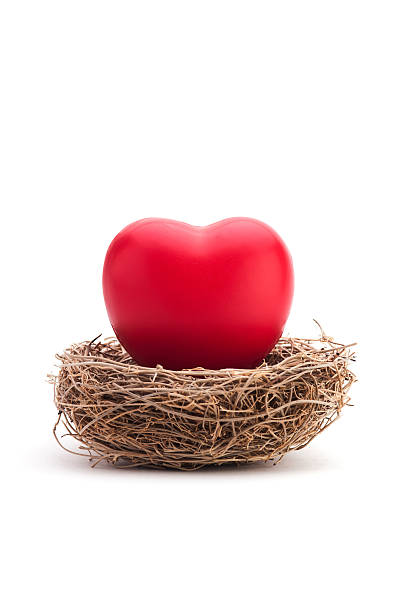 istock Red heart and nest 183886763