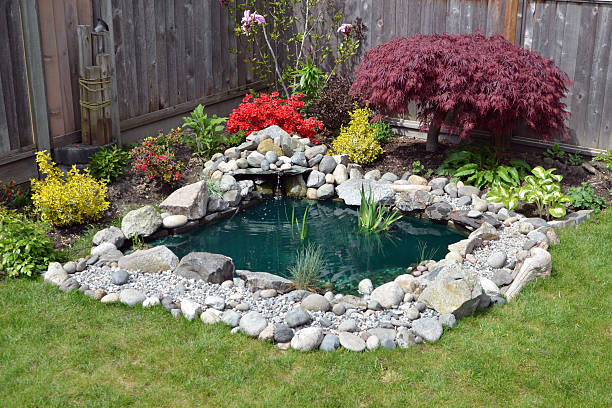 Backyard Pond Close up of a homemade backyard pond feature.See also pond fountains stock pictures, royalty-free photos & images