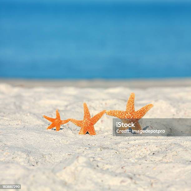 Três Na Praia Férias Estreladomar - Fotografias de stock e mais imagens de Verão - Verão, Acampamento de Férias, Alegria