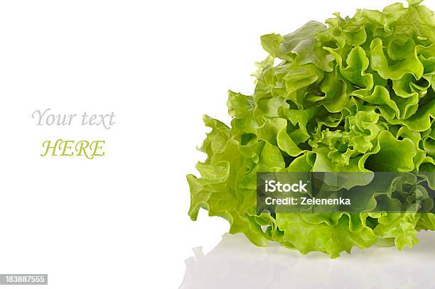 Salada Verde Isolado Em Um Fundo Branco - Fotografias de stock e mais imagens de Agricultura - Agricultura, Alface, Botânica - Ciência de plantas