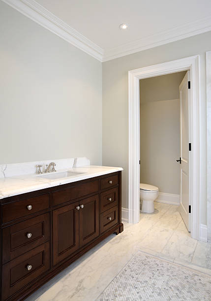 istock Brand New North American Home 183887617