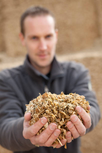istock Farmer is holding animal feed. 183887624