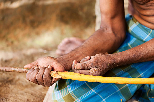 istock Sri Lankan man preparing cinnamon sticks 183887666