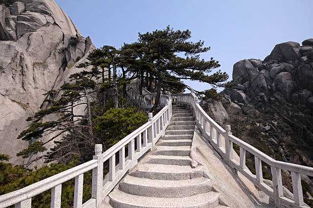 Mt. Tianzhu Path "Scenic hiking trail in Mt. Tianzhu National Geological Park in Anhui Province, China" pinus hwangshanensis stock pictures, royalty-free photos & images