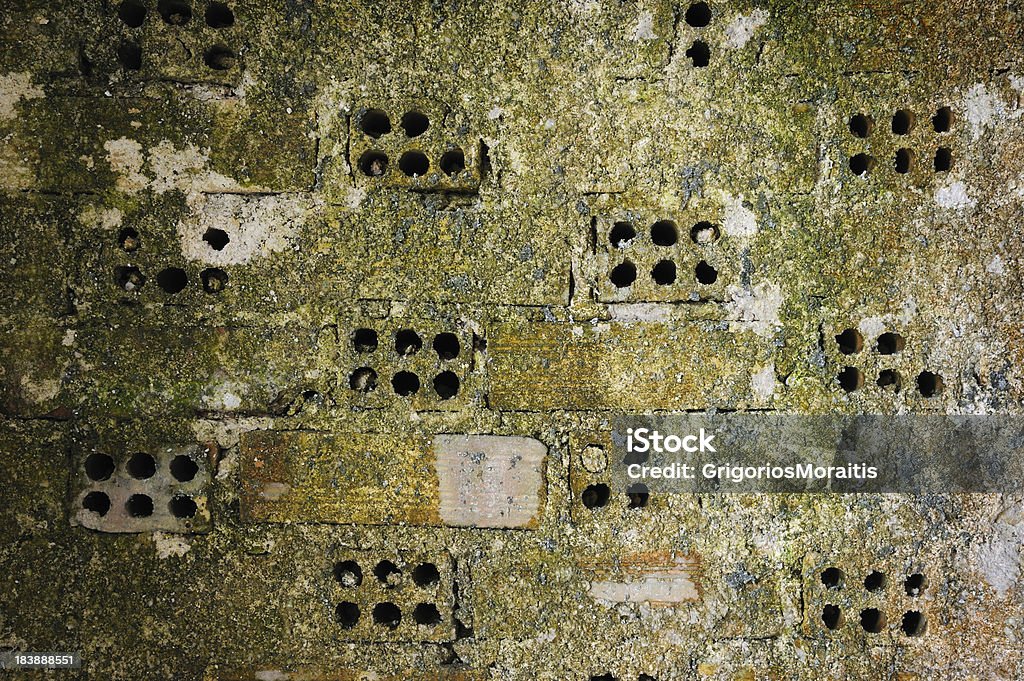 Moldy muro di mattoni - Foto stock royalty-free di Arrugginito