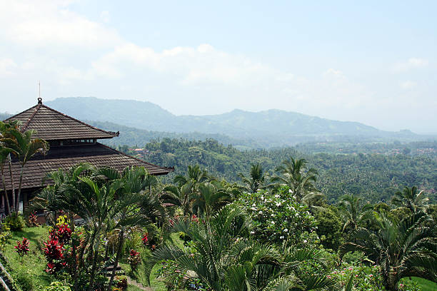 istock Bali Indonesia landscape. 183888641