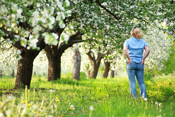 istock Women standing in the spring orchard 183888753