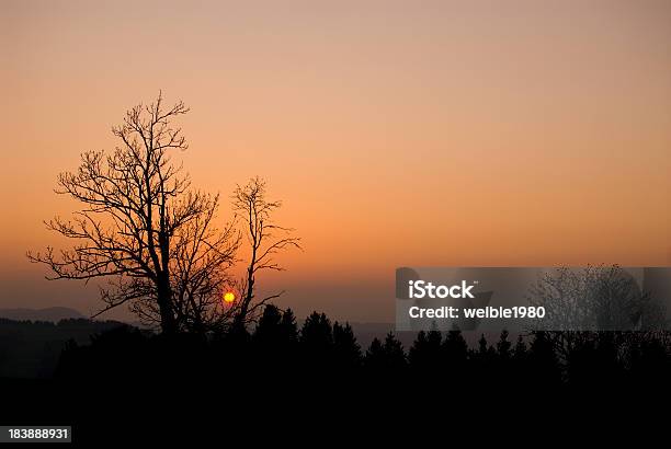 Sonnenuntergang In Deutschland Orange Sonne Stockfoto und mehr Bilder von Abenddämmerung - Abenddämmerung, Ast - Pflanzenbestandteil, Baum