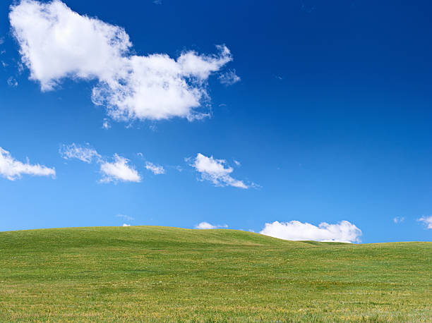 istock Square spring landscape XXXXL - meadow, blue sky 183888984