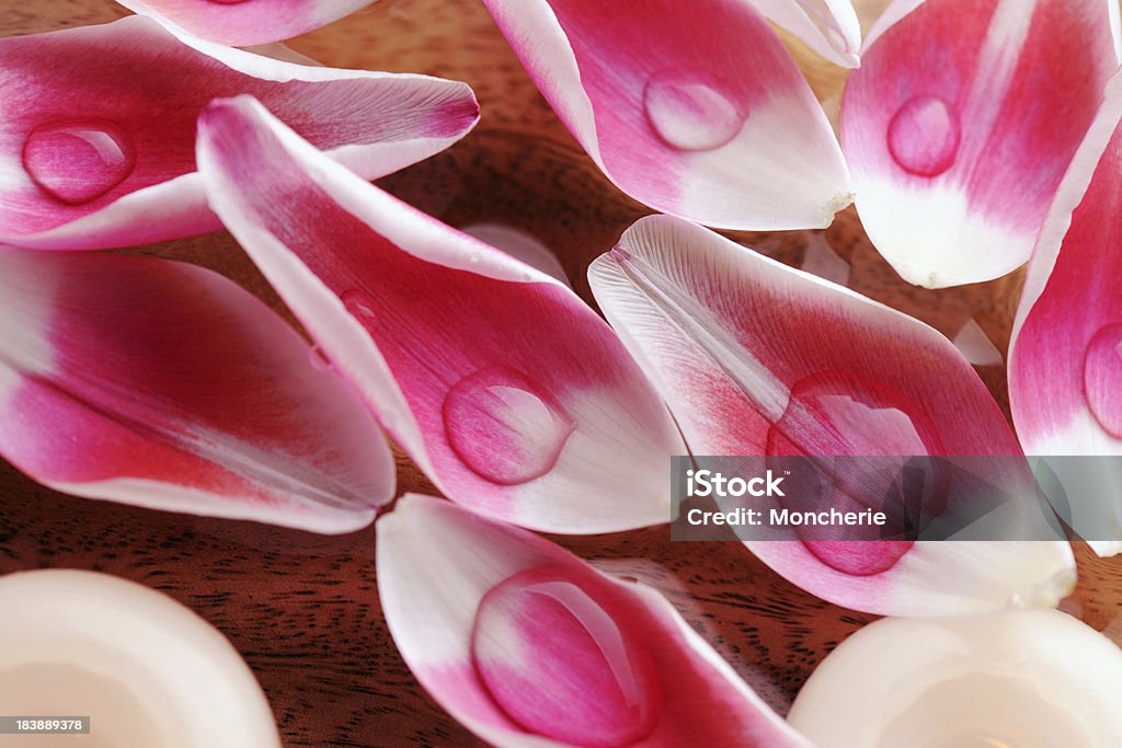 Tulipán con pétalos en primer plano - Foto de stock de Agua libre de derechos