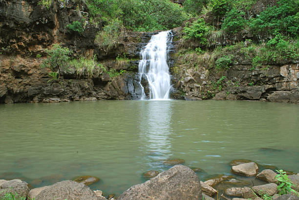 View of the famous Opaekaa Falls and forested hills in Wailua River State Park on the Island of Kauai, Hawaii