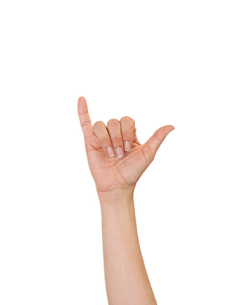 istock Letter Y in American Sign Language 183890352