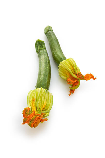 frische zucchini. - squash flower stock-fotos und bilder