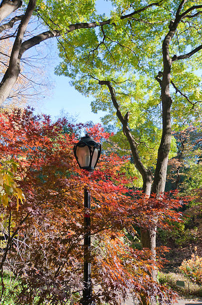 istock Autumn in the park 183890436