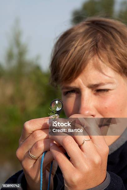 Looking Through A Magniying Glass Stock Photo - Download Image Now - Adult, Analyzing, Binoculars