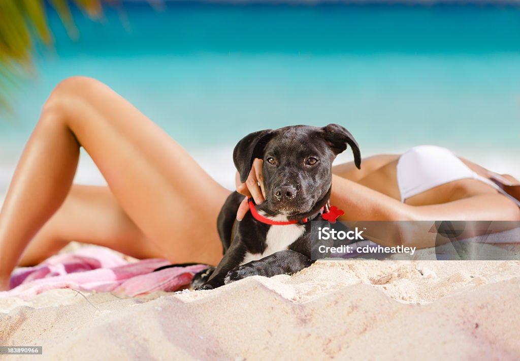 Frau Sonnenbaden mit einem Hund am Strand am Karibischen Meer - Lizenzfrei Bikini Stock-Foto