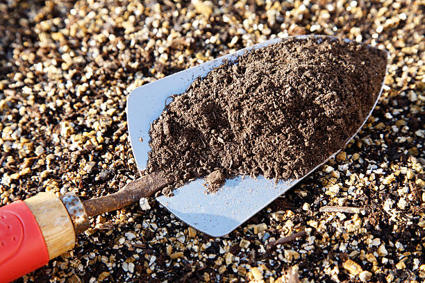istock Compost in Garden Trowel 183891072