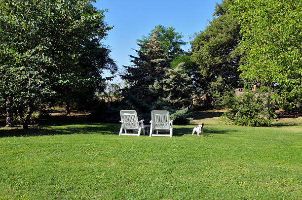 istock Two chairs and a dog in lush garden 183891138