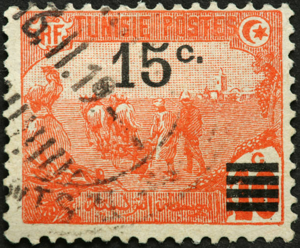 istock Tunisian farmers with old fashioned horsedrawn plow 183891281
